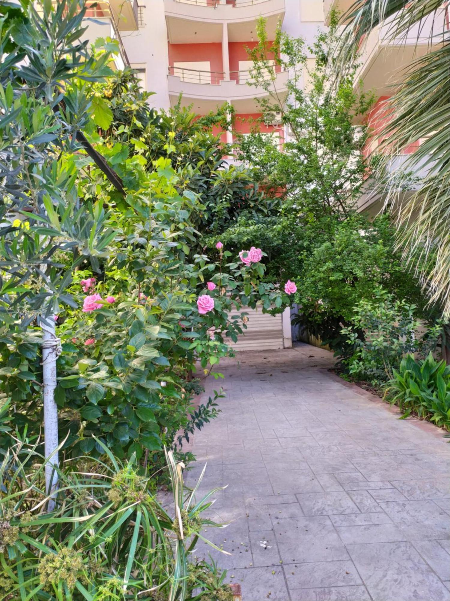 Valbona Apartments Avlonya Dış mekan fotoğraf
