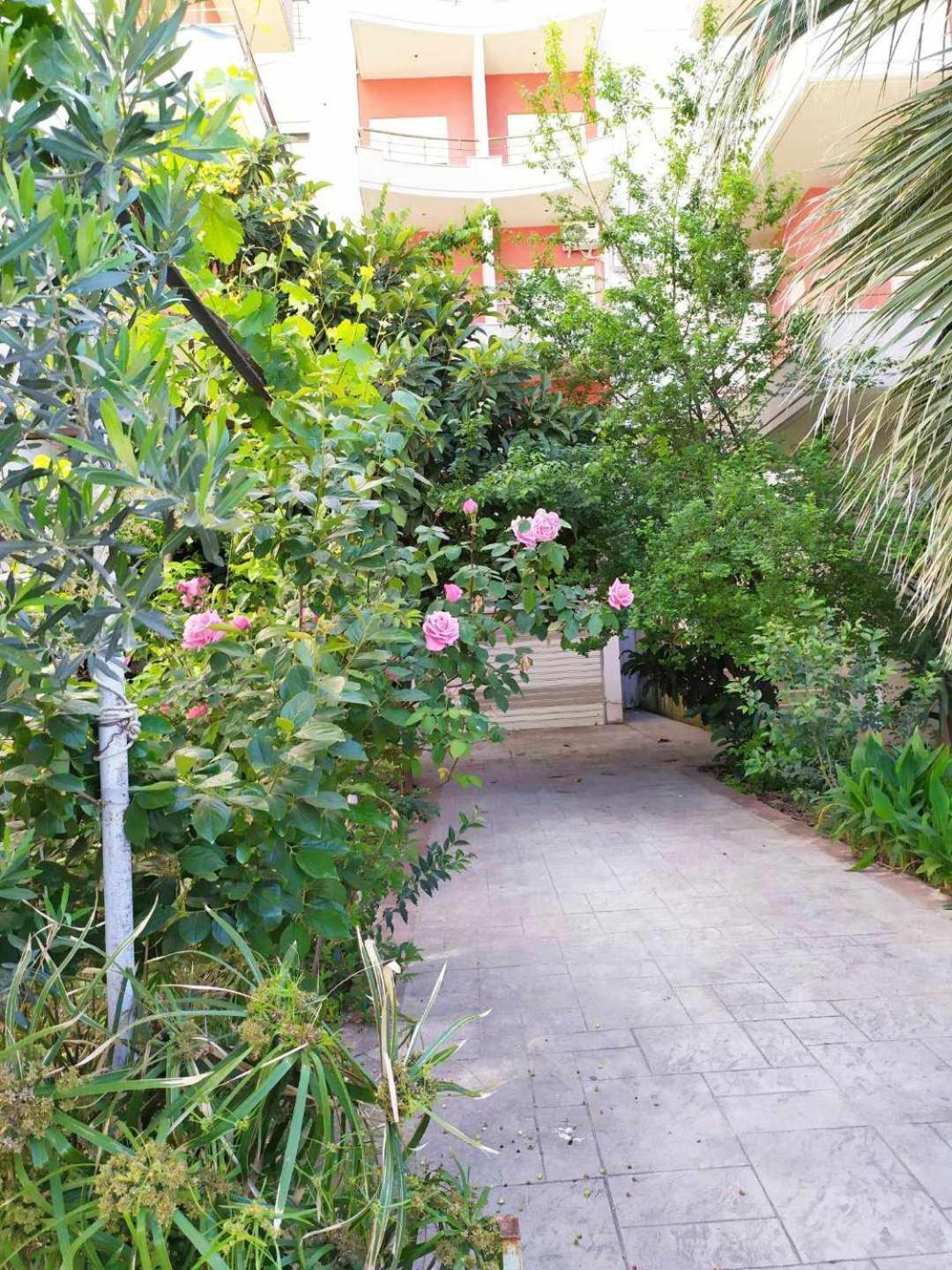 Valbona Apartments Avlonya Dış mekan fotoğraf